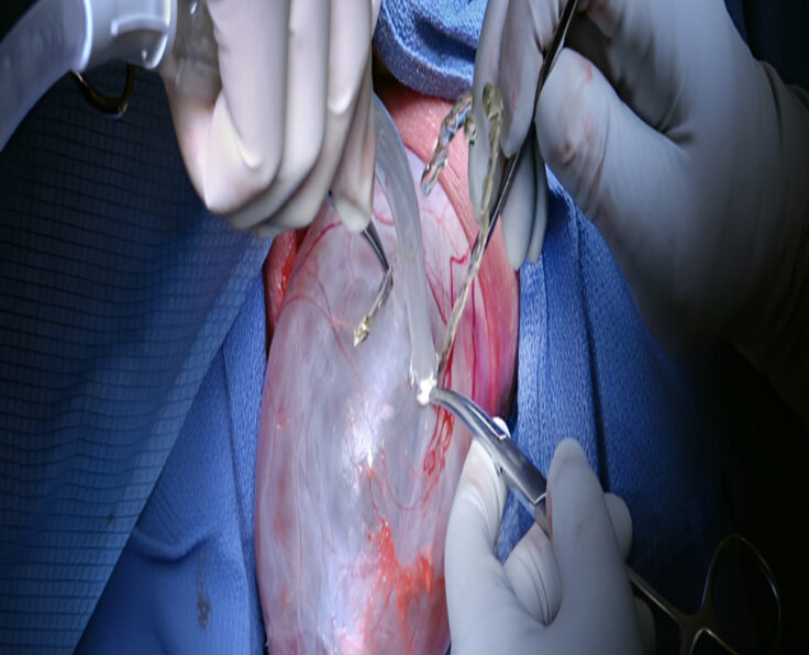 WhatsApp Image 2025-05-02 at 5,06,20 PM-Picsart-AiImageEnhancer (2) (1)