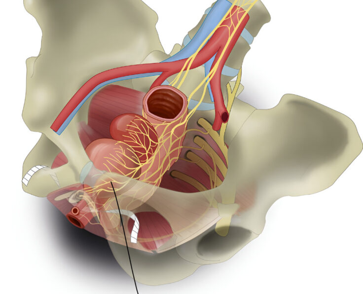 WhatsApp Image 2025-05-02 at 5,10,40 PM-Picsart-AiImageEnhancer (1)